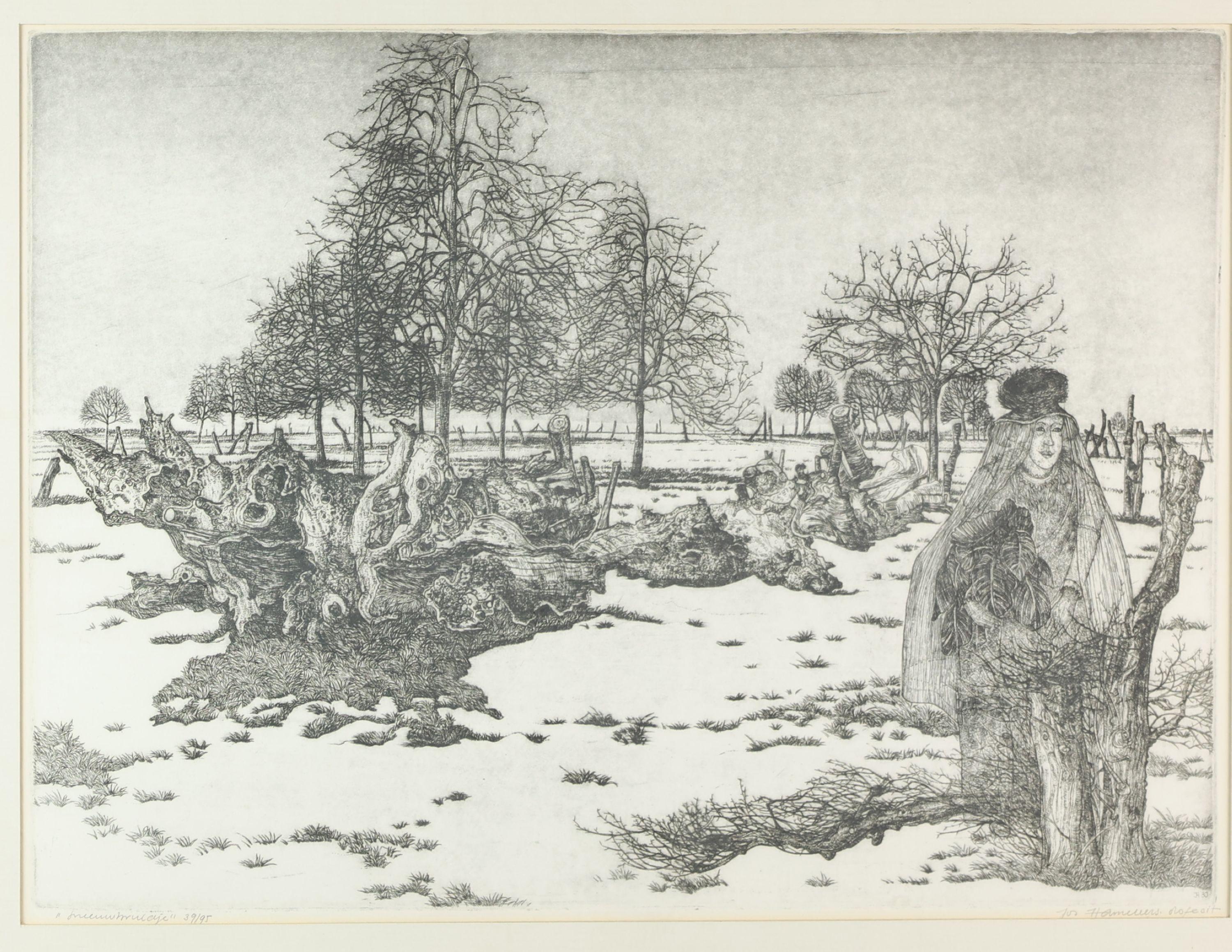 foto 1 Hameleers, Jos (1948-)